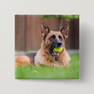 Duitse herder met Tennis Ball Vierkante Button 5,1 Cm