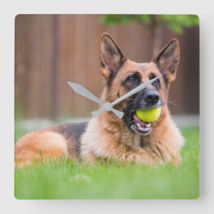 Duitse herder met Tennis Ball Vierkante Klok