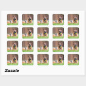 Duitse herder met Tennis Ball Vierkante Sticker (Vel)