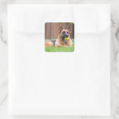 Duitse herder met Tennis Ball Vierkante Sticker (Tas)