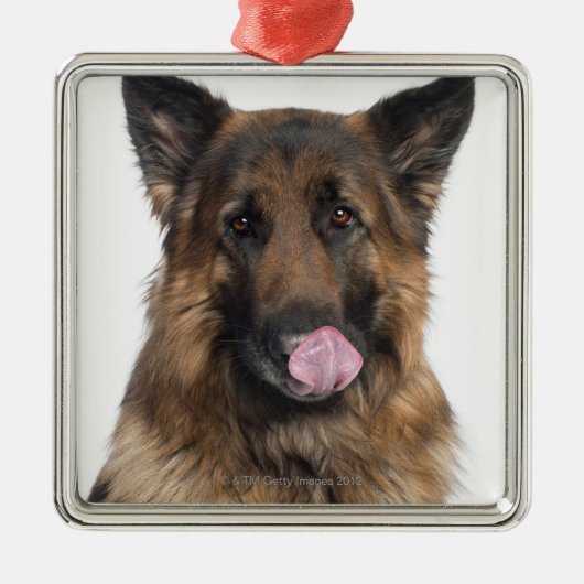 Duitse herder metalen ornament (Voorkant)