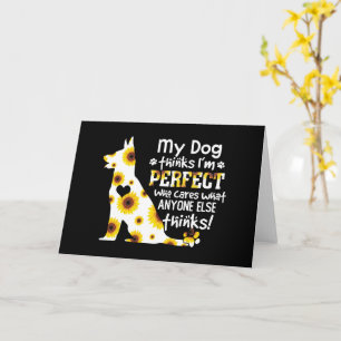 Duitse herder mijn hond denkt dat ik perfecte pote kaart