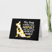 Duitse herder mijn hond denkt dat ik perfecte pote kaart (Voorkant)