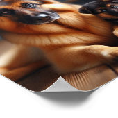 Duitse Herder moeder en haar puppy Poster (Hoek)