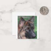 duitse herder notitiekaartje (Voorkant / Achterkant in situ)