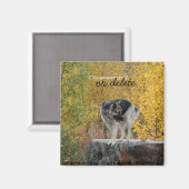 Duitse herder op een rots;  magneet (Voorkant / Achterkant)