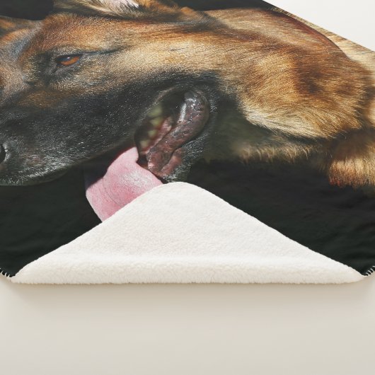 Duitse herder op zwarte achtergrond sherpa deken (3/4)