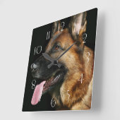 Duitse herder op zwarte achtergrond vierkante klok (Hoek)