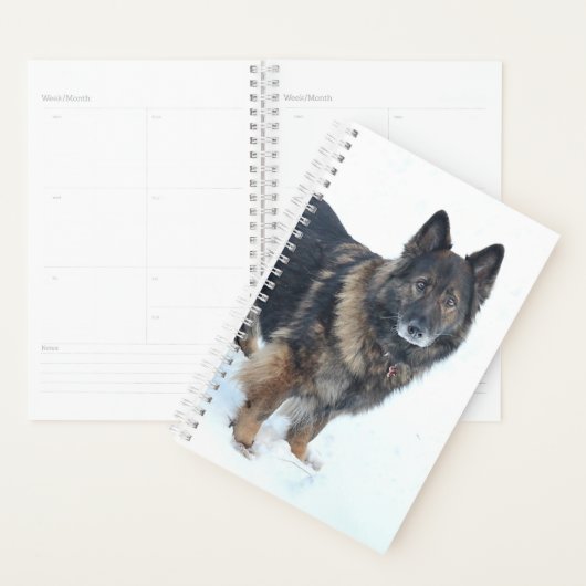 Duitse herder planner (Display)