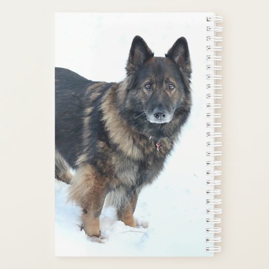 Duitse herder planner (Achterkant)