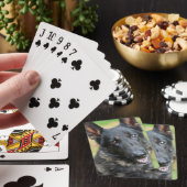 Duitse herder pokerkaarten (Insitu)