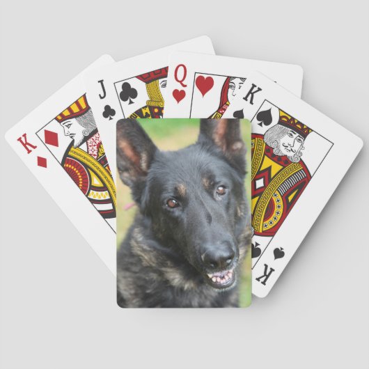 Duitse herder pokerkaarten (Achterkant)