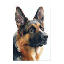 Duitse herder portret aquarel