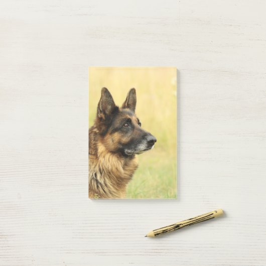Duitse herder post-it® notes (Op bureau)