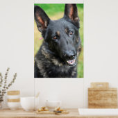 Duitse herder poster (Keuken)
