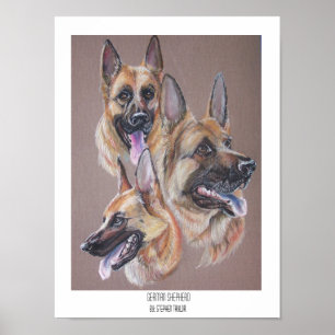 Duitse herder poster
