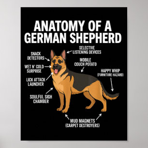 Duitse Herder  Poster