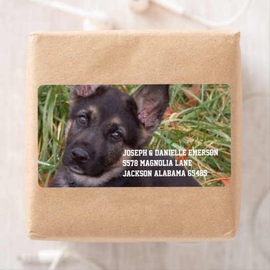 Duitse herder puppy adres Sticker (Insitu)