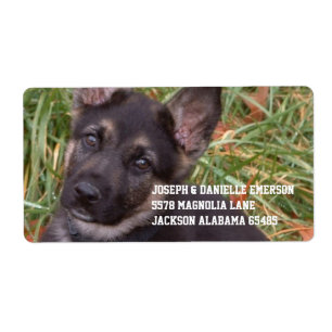 Duitse herder puppy adres Sticker
