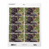 Duitse herder puppy adres Sticker (Full Sheet)