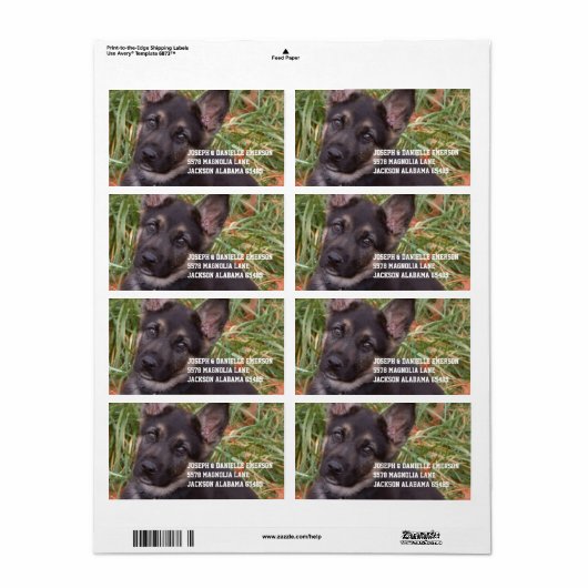 Duitse herder puppy adres Sticker (Full Sheet)