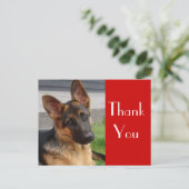 Duitse Herder Puppy Dog Bedankt Post Kaart (Staand voorkant)