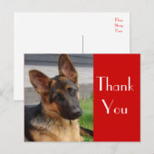 Duitse Herder Puppy Dog Bedankt Post Kaart (Voorkant / Achterkant)