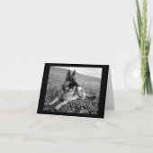 Duitse Herder Puppy Dog Blank Note Kaart (Voorkant)