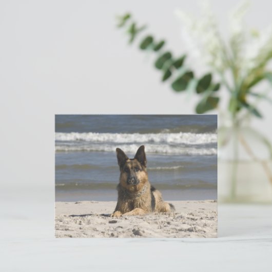 Duitse Herder Puppy Dog Blank Post Kaart (Staand voorkant)