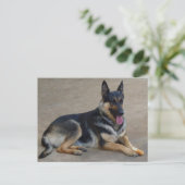 Duitse Herder Puppy Dog Blank Post Kaart (Staand voorkant)