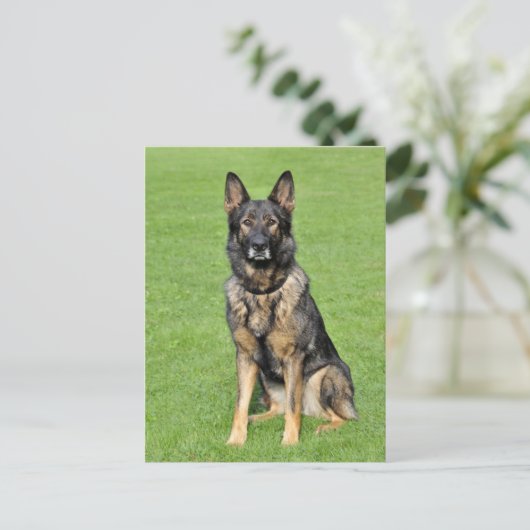 Duitse Herder Puppy Dog Blank Post Kaart (Staand voorkant)