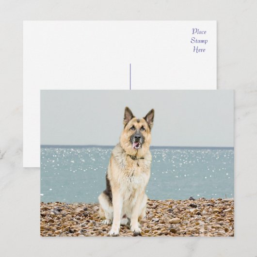 Duitse Herder Puppy Dog Blank Post Kaart (Voorkant / Achterkant)