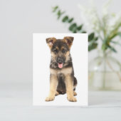 Duitse Herder Puppy Dog Blank Post Kaart (Staand voorkant)