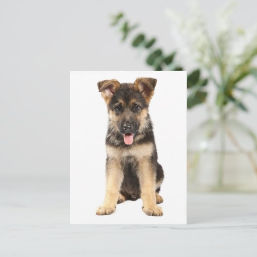 Duitse Herder Puppy Dog Blank Post Kaart (Staand voorkant)