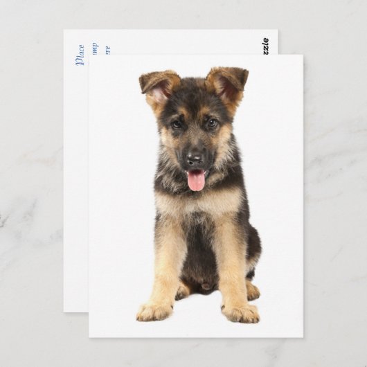 Duitse Herder Puppy Dog Blank Post Kaart (Voorkant / Achterkant)