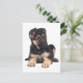 Duitse Herder Puppy Dog Blank Post Kaart (Staand voorkant)