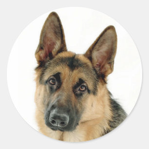 Duitse Herder Puppy Dog Stickers / labels