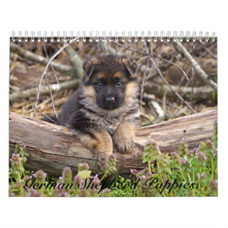 Duitse Herder Puppykalender 2016 Kalender