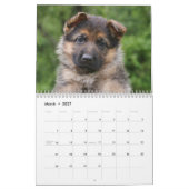 Duitse Herder Puppykalender 2016 Kalender (Mar 2027)