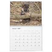 Duitse Herder Puppykalender 2016 Kalender (Jan 2027)