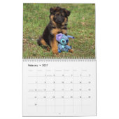 Duitse Herder Puppykalender 2016 Kalender (Feb 2027)