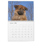Duitse Herder Puppykalender 2016 Kalender (Jan 2026)