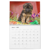 Duitse Herder Puppykalender 2016 Kalender (Mar 2027)