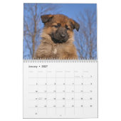 Duitse Herder Puppykalender 2016 Kalender (Jan 2027)