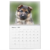 Duitse Herder Puppykalender 2016 Kalender (Feb 2027)