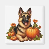 Duitse herder rust met pompoenen en bloemen magneet (Voorkant)