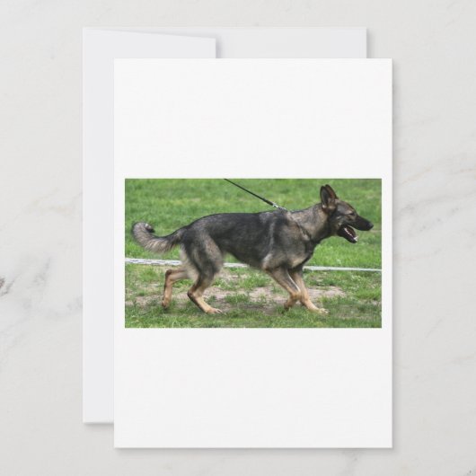 Duitse herder sabel wandelen kaart (Voorkant)