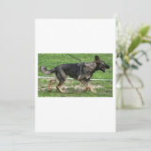Duitse herder sabel wandelen kaart (Staand voorkant)