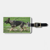 Duitse herder sable lopen bagagelabel (Voorkant horizontaal)