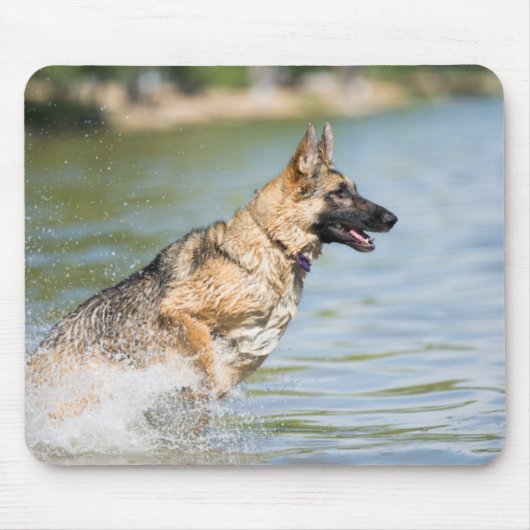 Duitse herder springt in het water muismat (Voorkant)
